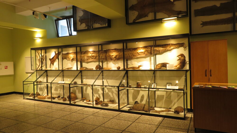Tuchów - fragment ekspozycji w muzeum