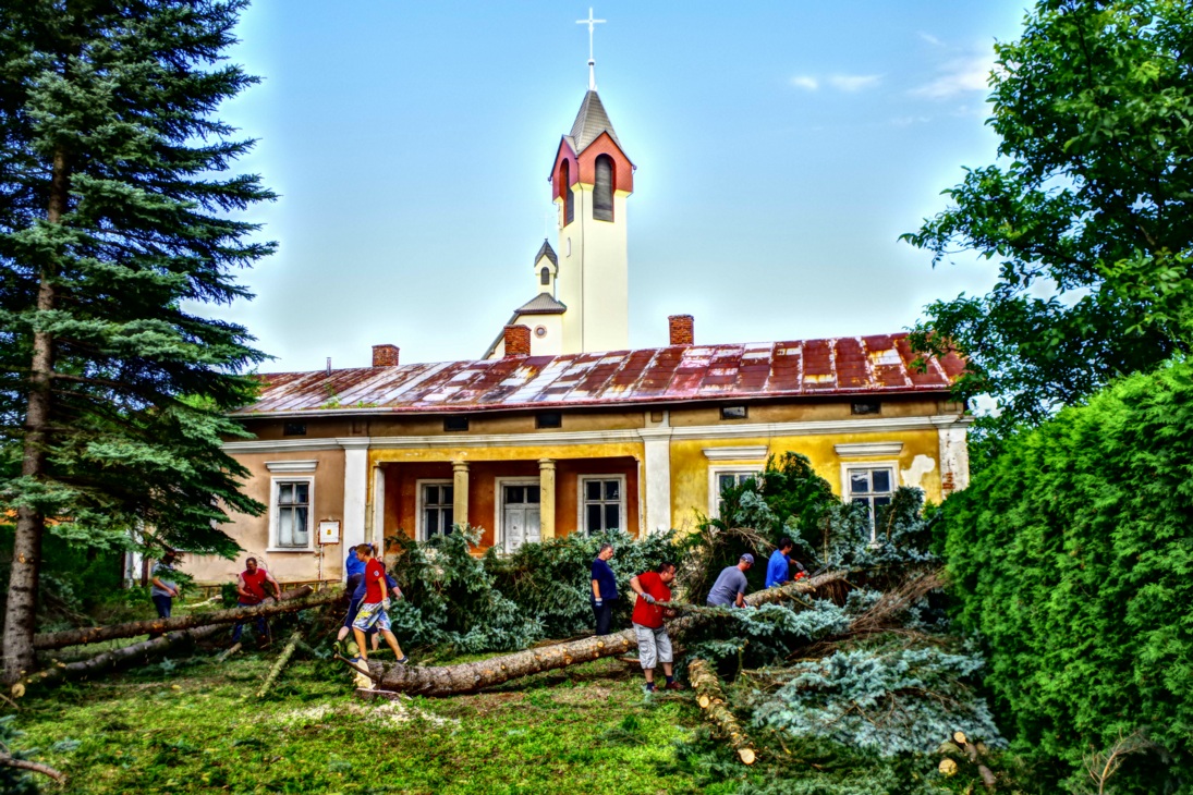 Remont Plebanii wycinka drzew 24.07.2017 (105)