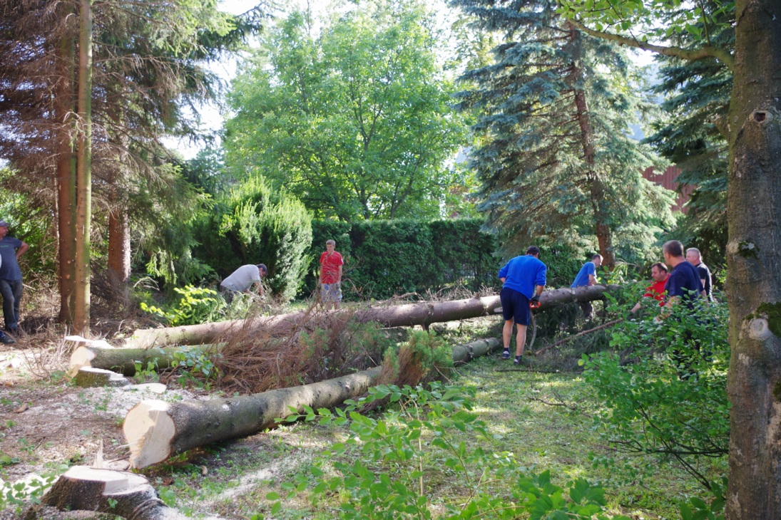 Remont Plebanii wycinka drzew 24.07.2017 (24)