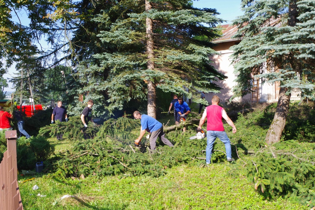 Remont Plebanii wycinka drzew 24.07.2017 (30)