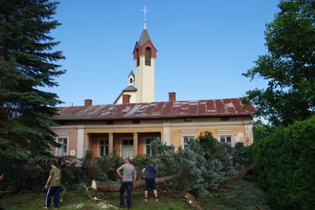 Remont Plebanii wycinka drzew 24.07.2017 (97)